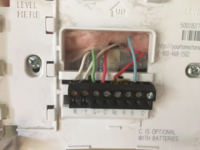 wiring.jpeg