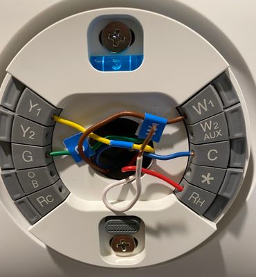 Nest wiring. I tried the white in W2 and without plugged in, as shown.