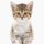 GoodKitty