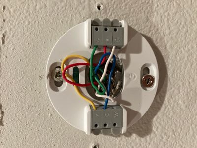 Nest