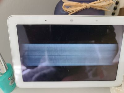 display nest hub.jpg