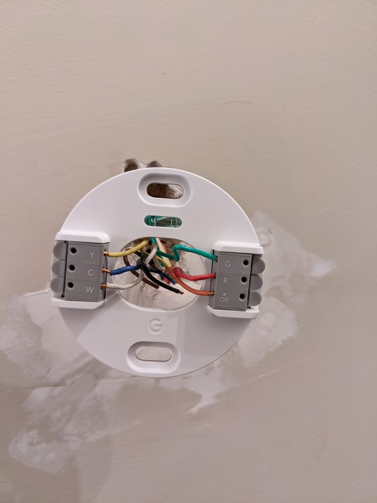 PXL_20220531_170323550 (1).jpg