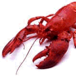 ericthelobster