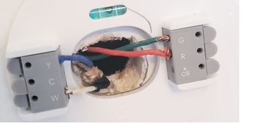 after-nest.jpg