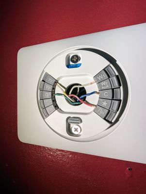 All wires connected to Learning thermostat