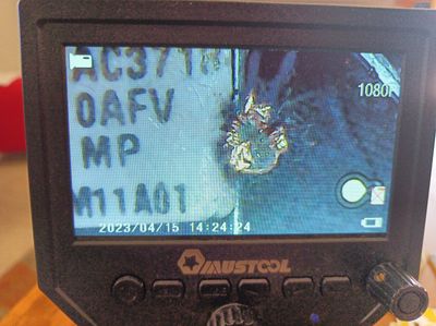 Nest_9.jpg