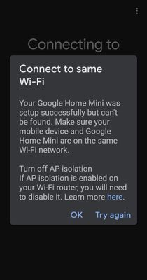 Google Mini Error_070923.jpg