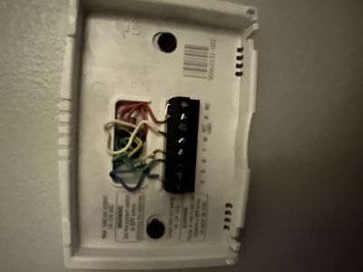 IMG_1968.jpeg