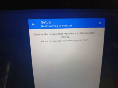 Setup_Hanging.jpg