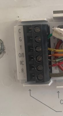 thermostat wires.jpg