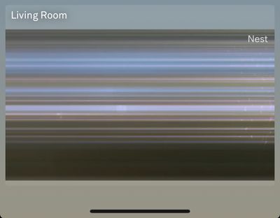 53CA5D65-2265-4338-A595-8551DDE87ED6.jpeg