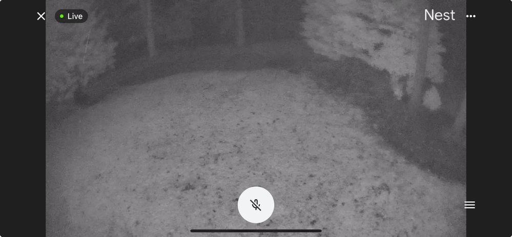 Nest Floodlight Cam (388143)