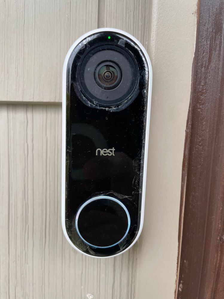 Doorbell Peeling Like a Lizard.jpg