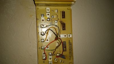 IMG_20220426_164905805.jpg